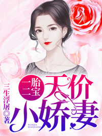 徐安山梅及笈小说免费阅读