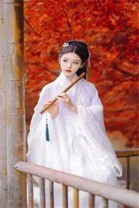 方辰苏婉儿