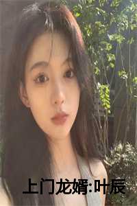 上门龙婿:叶辰