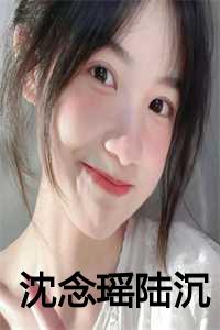沈念瑶陆沉