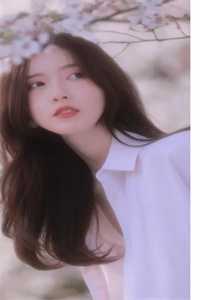 洛如缨宁夜辰
