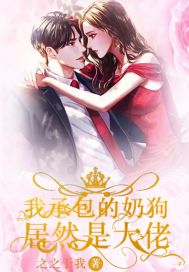 大乾憨婿免费阅读