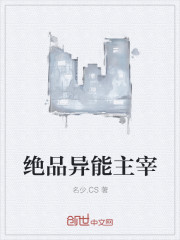 鸾儿萧廷宴的穿越小说叫什么