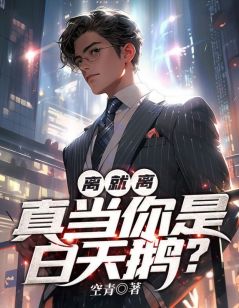 叶辰洛倾颜
