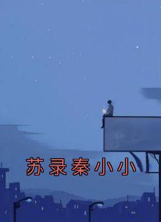 秦小小苏录