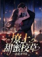 齐萧阮软